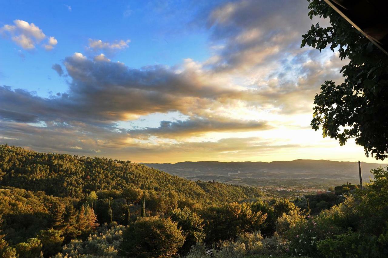 Agriturismo Borgo Mocale Castelfranco di Sopra Экстерьер фото